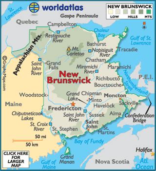 new brunswick city populations.